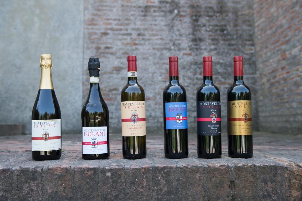 Agriturismo Montevecchio Isolani Monte San Pietro エクステリア 写真