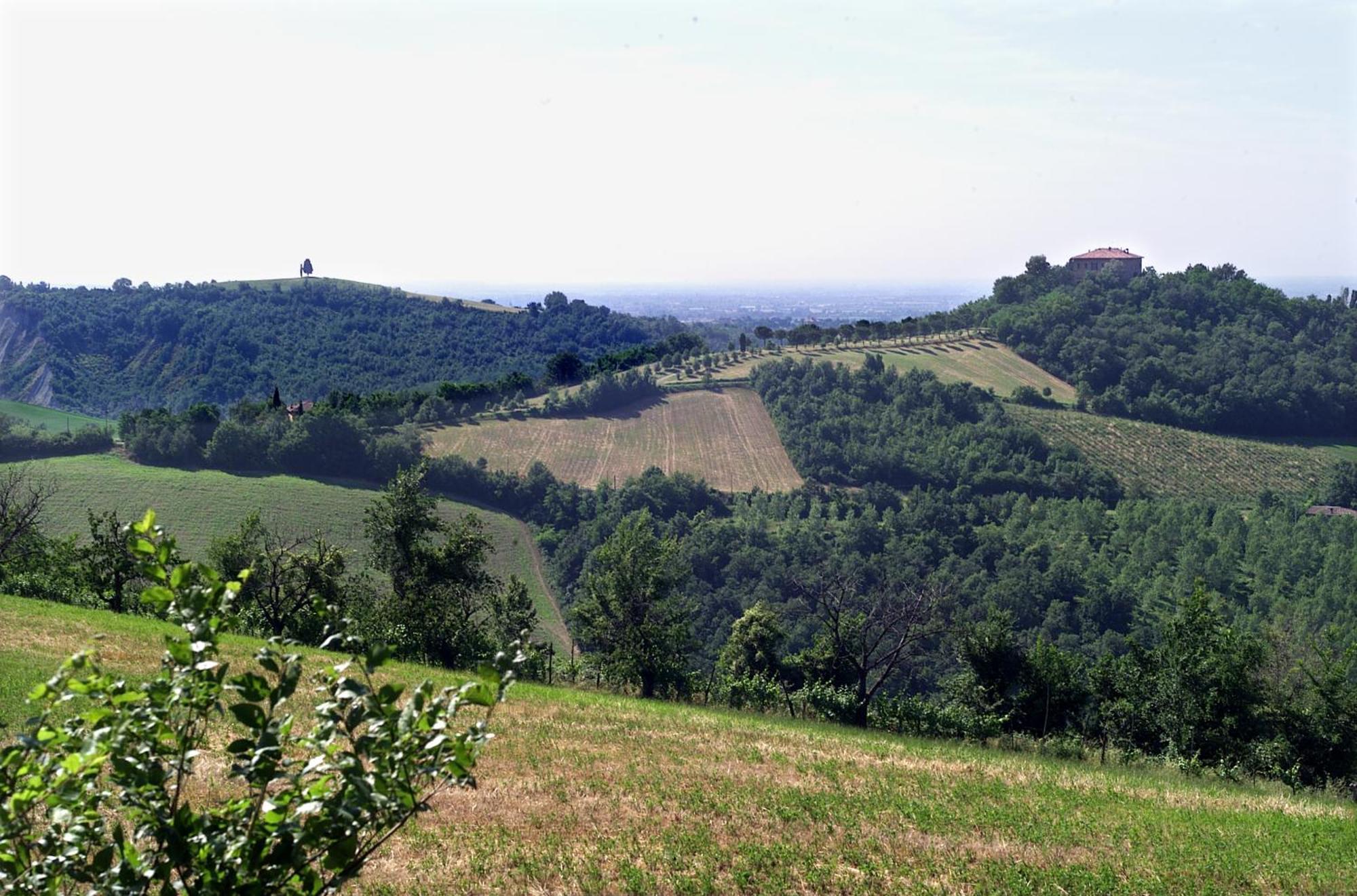 Agriturismo Montevecchio Isolani Monte San Pietro エクステリア 写真