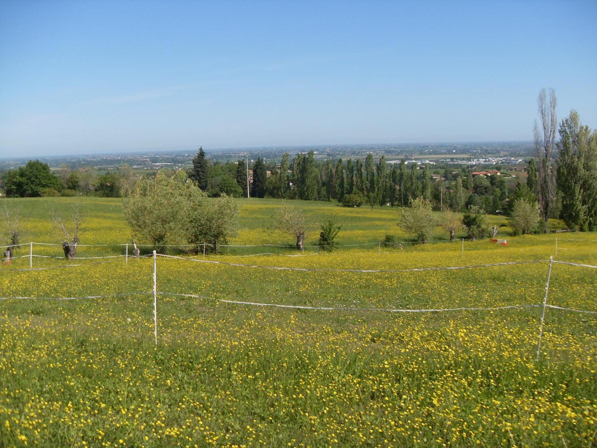 Agriturismo Montevecchio Isolani Monte San Pietro エクステリア 写真
