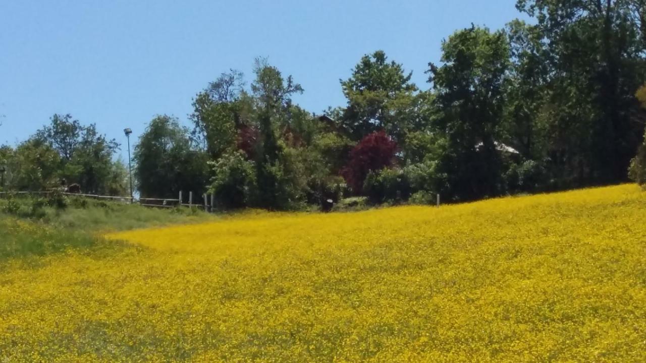 Agriturismo Montevecchio Isolani Monte San Pietro エクステリア 写真